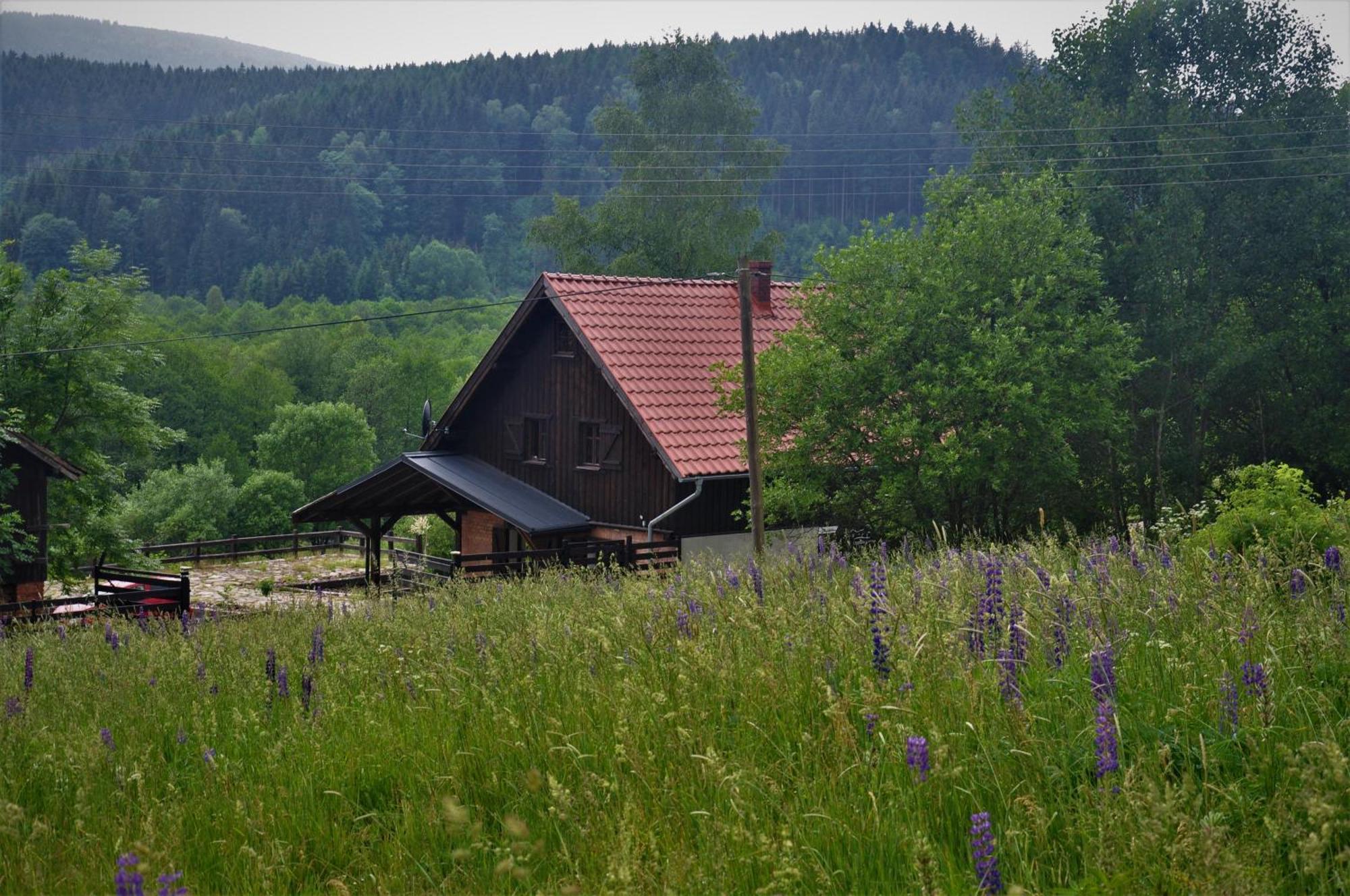 Chata Nad Dzika Orlica Z Jacuzzi Poniatow Экстерьер фото