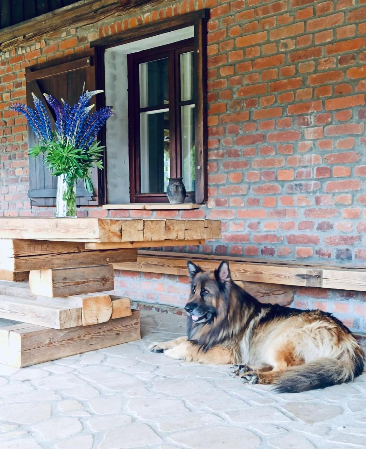 Chata Nad Dzika Orlica Z Jacuzzi Poniatow Экстерьер фото